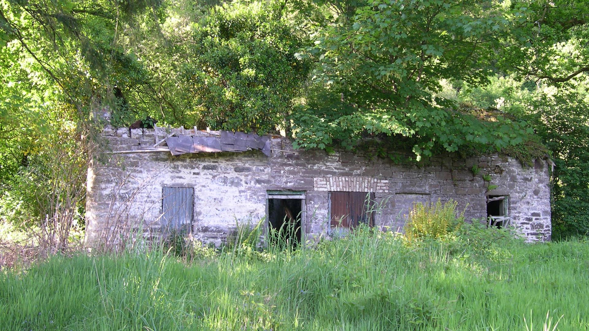 Cottage ruin