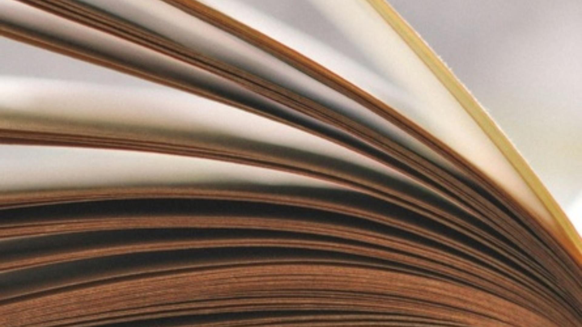 Image showing open book pages