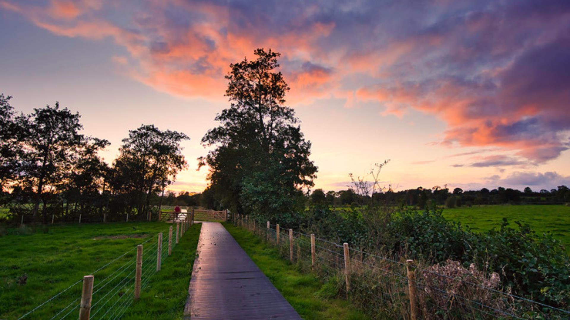 Lough Beg nature reserve