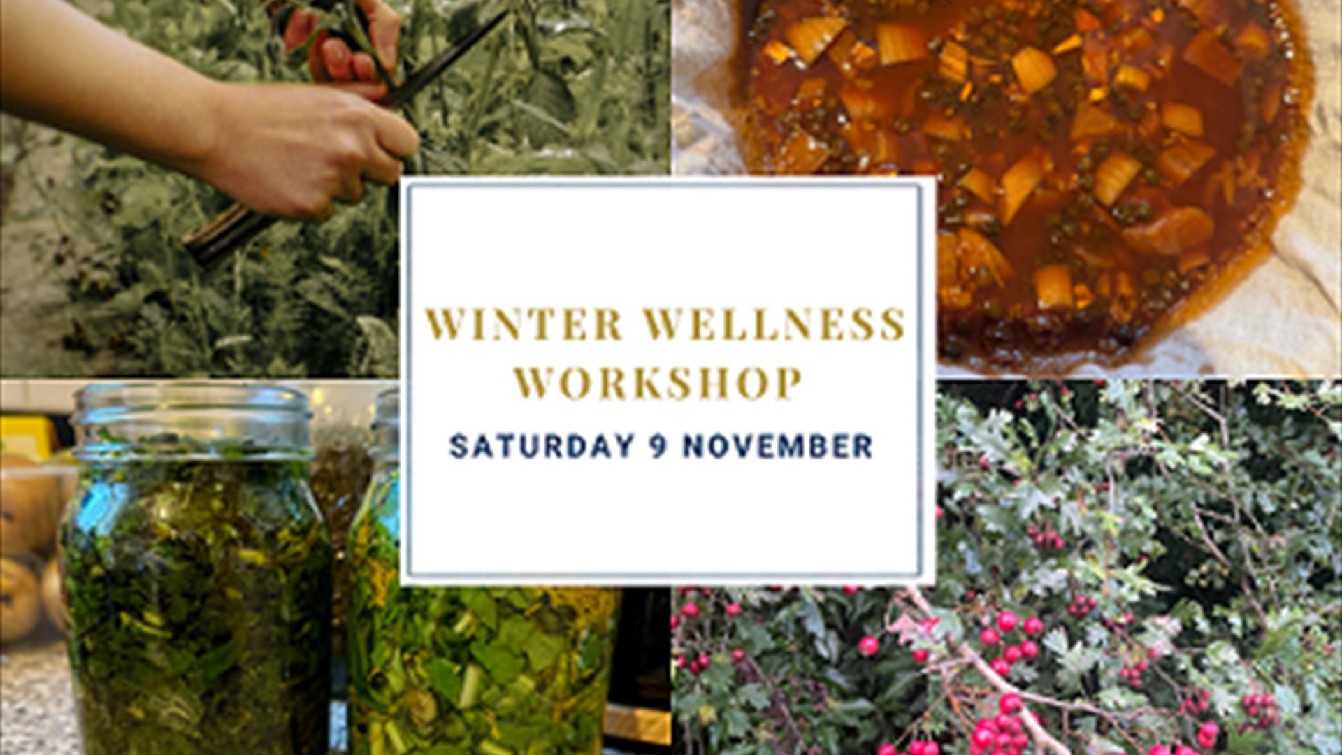 Winter Wellness Workshop