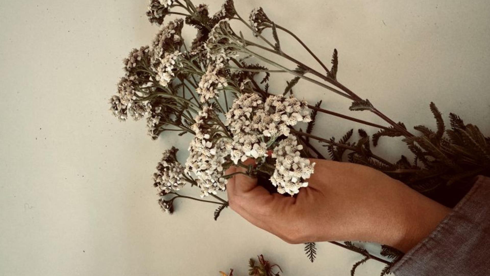 Image showing dried herbs used for producing immune boosting teas.
