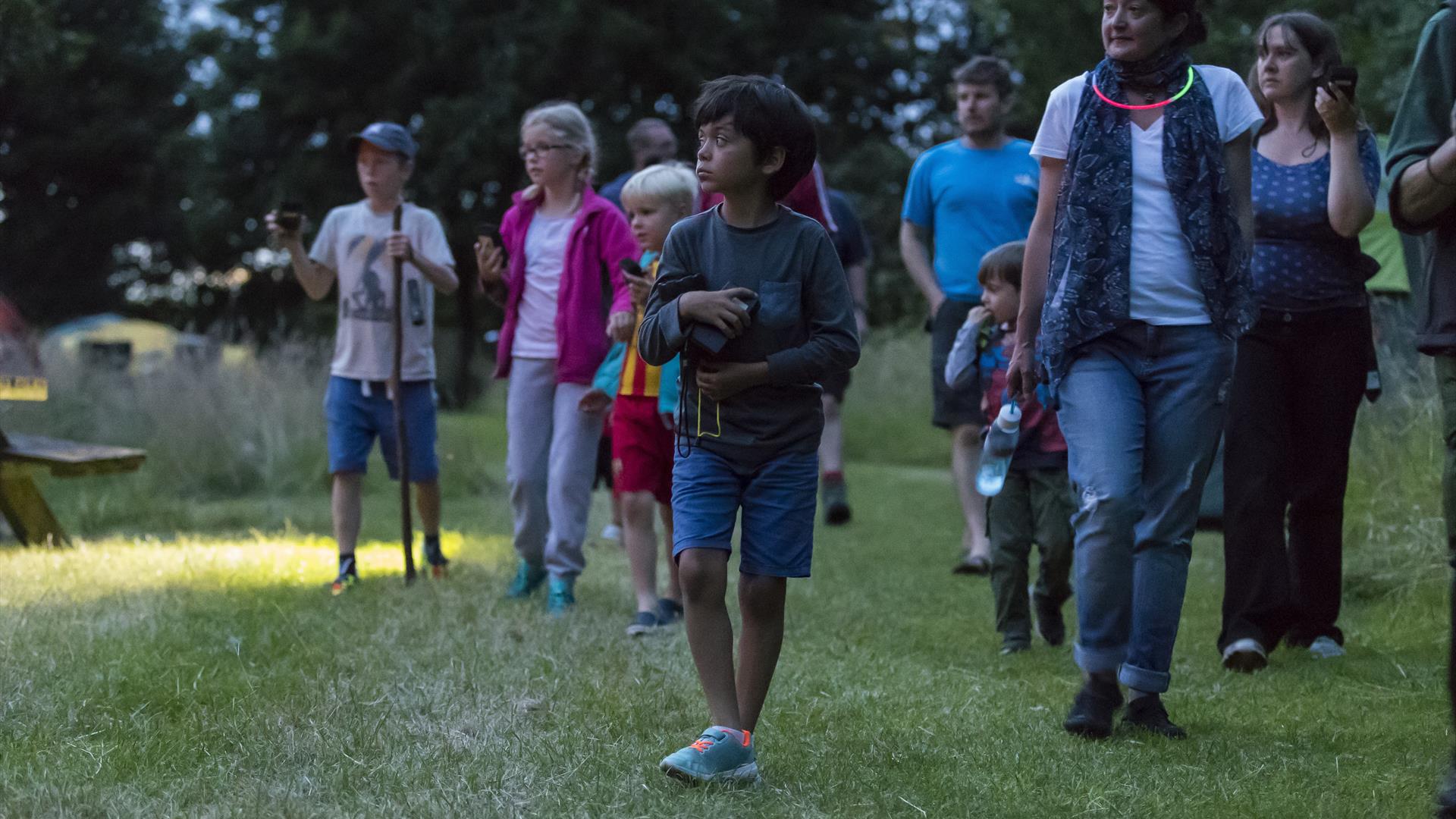 Springhill Bat Night