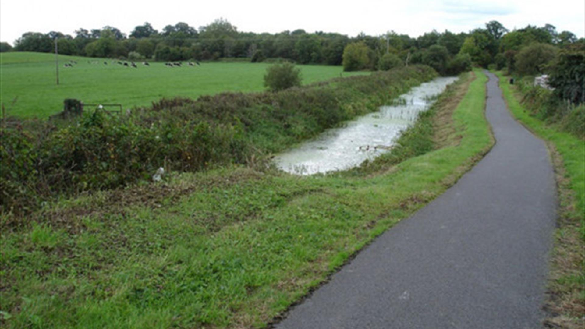 Image of the path by Coalisland Canal