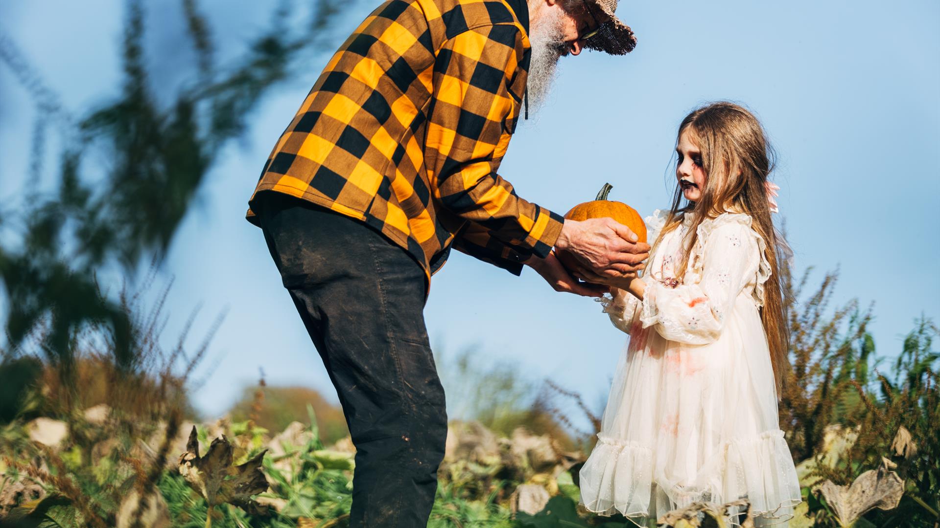 Pumpkin picking