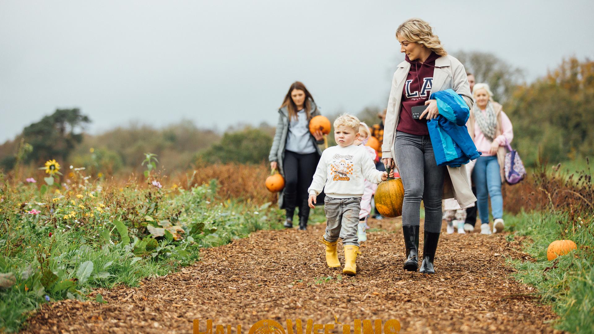 Hallowee'uns: People walking through a field, carrying their handpicked pumpkins