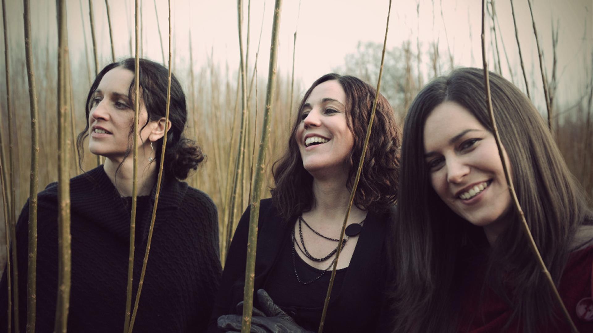 Image of the three Henry Girls