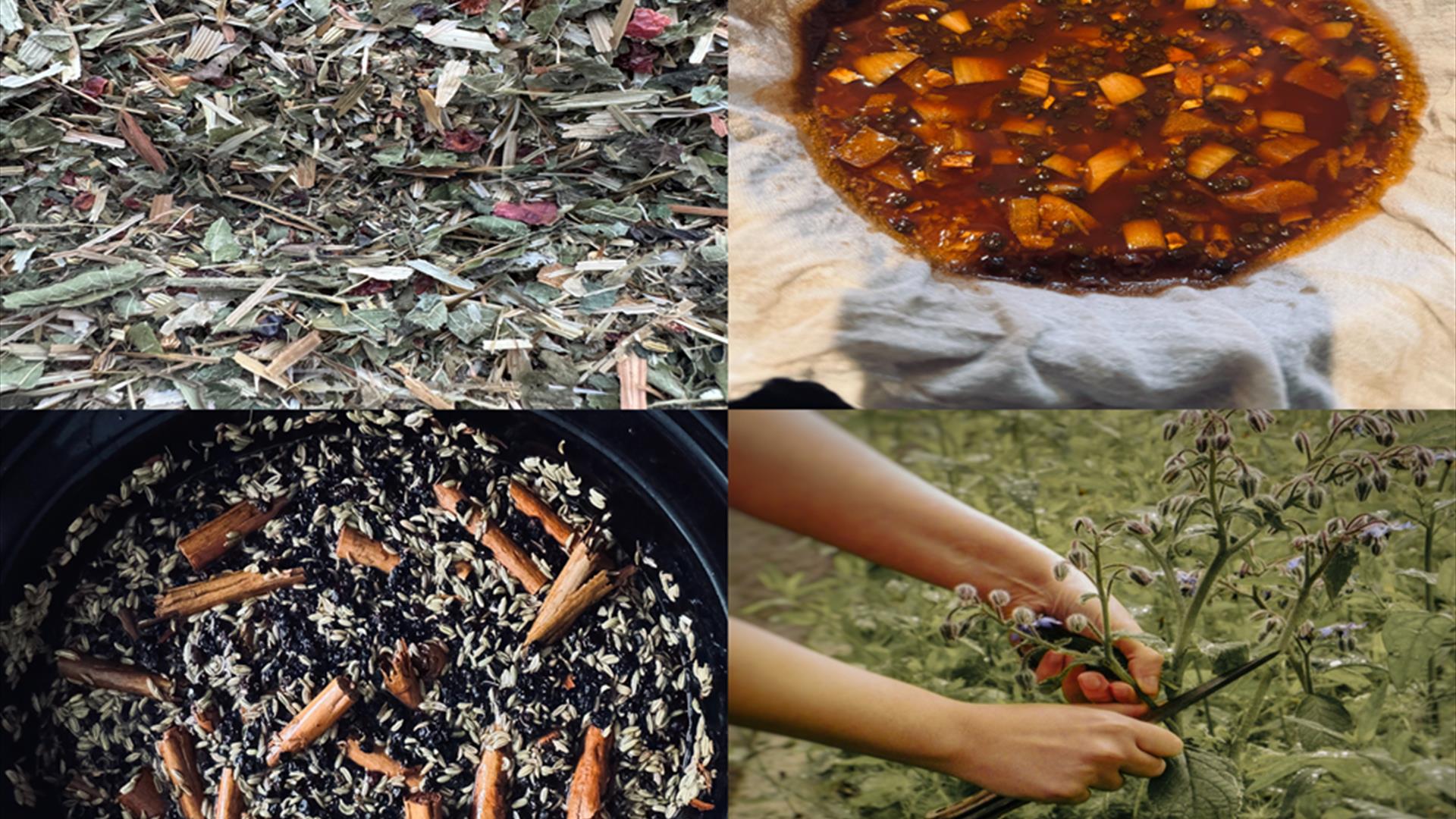 Winter wellness workshop