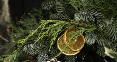 Christmas Wreath Workshop at Springhill