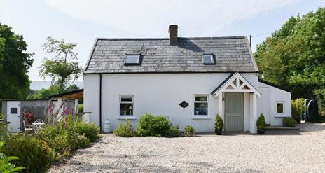 White cottage with hedges lining one side of the driveway