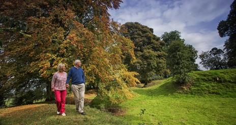 Image of a couple looking over to the fort