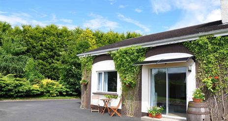 A large green hedge behind a bungalow with climbing vines up the side