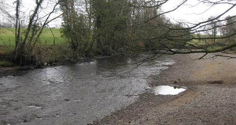 Derrynoyd River Trail