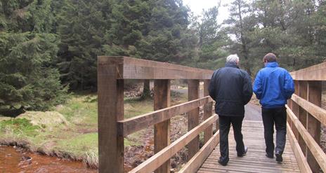 Davagh Forest Walking Route