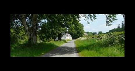 A hedge lined laneway to a white house