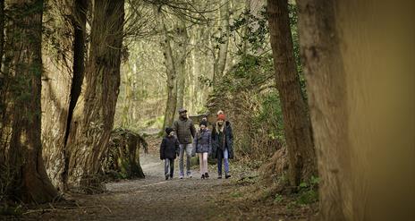 A family walking through the forest.