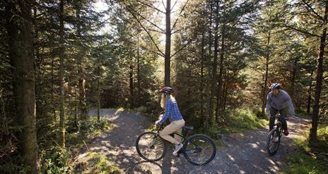 Davagh Forest Trails