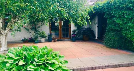 Courtyard with green hedges, vines and a tree in front of a house