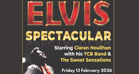 elvis spectacular