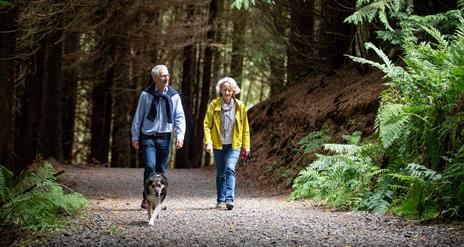 A couple walking through a forest path with their dog