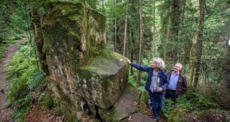 A couple standing in the forest at St.Patricks Chair