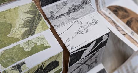 Nature Book Workshop (in English)  with Ruth Osborne