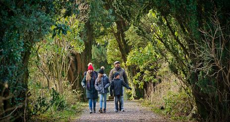 A family walking through Parkanaur Forest