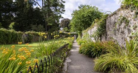 An image of a garden path at Springhill House surrounded by greenery