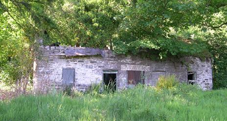 Cottage ruin