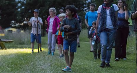 Springhill Bat Night