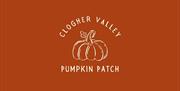 Clogher Valley Pumpkin Patch pick your own home grown pumpkins