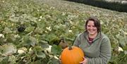 Image of a woman holding a pumpkin in a pumpkin patch