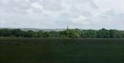 view of green fields, trees and sky from cottage