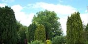 View of trees outside house