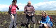 3 people looking the turf on Sliabh Beagh
