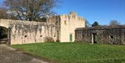 Guided tours of Benburb Priory, Castle and Library & Museum - History ...