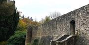 Guided tours of Benburb Priory, Castle and Library & Museum - History ...