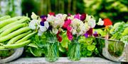 Seasonal Cooking Class at Wee Buns Cookery School
