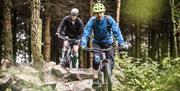 2 men mountain biking through grounds