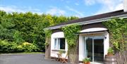 A large green hedge behind a bungalow with climbing vines up the side