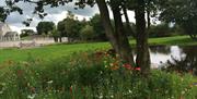 Image of wile flowers and a lake beside the house