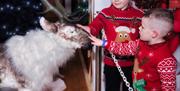 Two young boys wearing red reindeer jumpers petting Santa's reindeer at the grotto