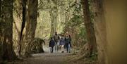 A family walking through the forest.