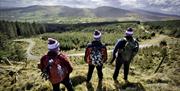 Three hikers standing on a grass hill overlooking mountains and trees