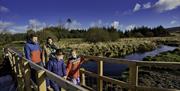 Family walking over a bridge on OM Solar Walk