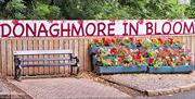 Donaghmore Flowers