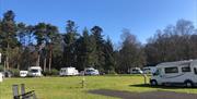 Caravan Park at Drum Manor Forest