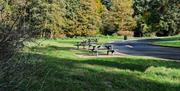 Picnic tables and the drive way to the forest carpark