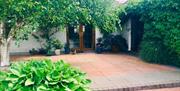 Courtyard with green hedges, vines and a tree in front of a house