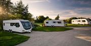 Caravans at Dungannon park in the evening sun.