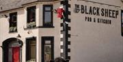 The Black Sheep Pub and Kitchen with a black sheep standing in front and beside a pint of guiness.